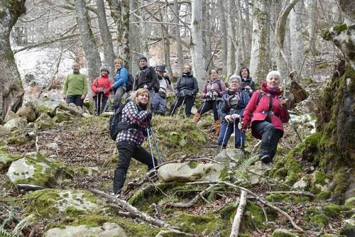 El Grupo en el bosque