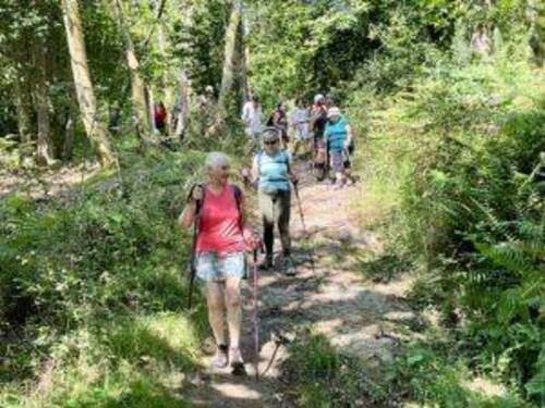 Ruta Saludable del Jueves 18 de Julio 24 - Grupo Montañeros Moscón - ama de Grado, La Corredoria, Alto de la Corredoria, catarata de Buanga, Perlavia.