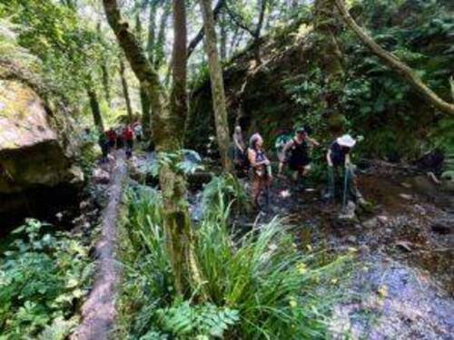 Ruta Saludable del Jueves 18 de Julio 24 - Grupo Montañeros Moscón - ama de Grado, La Corredoria, Alto de la Corredoria, catarata de Buanga, Perlavia.