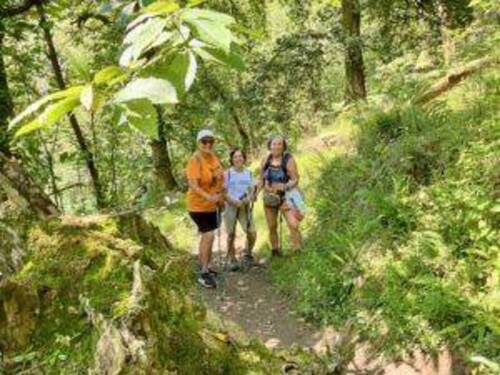 Ruta Saludable del Jueves 18 de Julio 24 - Grupo Montañeros Moscón - ama de Grado, La Corredoria, Alto de la Corredoria, catarata de Buanga, Perlavia.