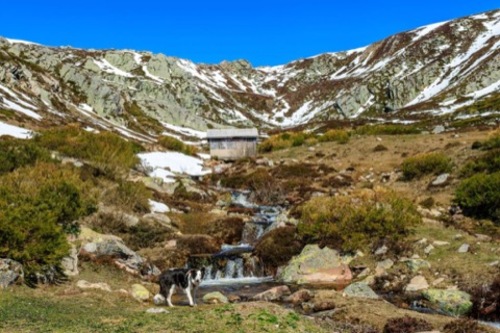 Alto Campoo 2024