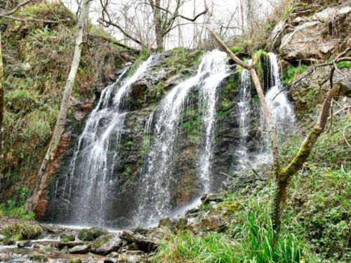 Ruta saludable del 18 de Diciembre